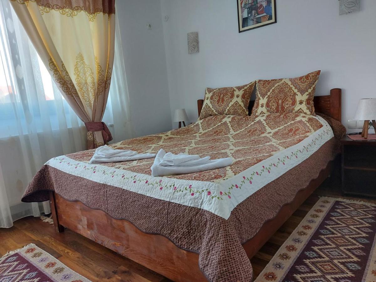 Pensiunea Albina Sinnicoara Экстерьер фото